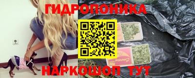 эйфоретик Кимры