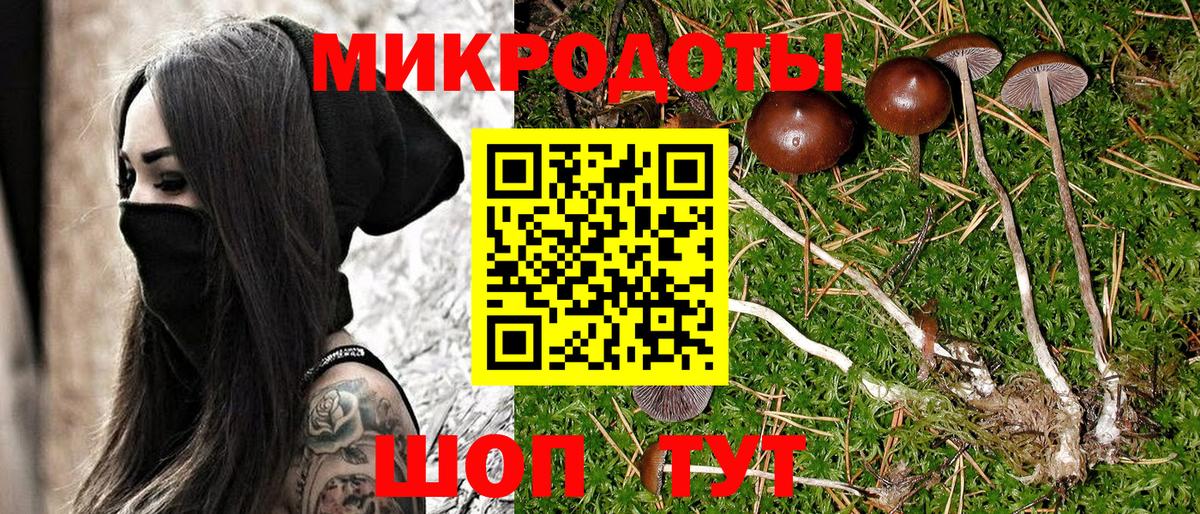 Псилоцибиновые грибы Magic Shrooms  Вход с VPN  Конаково 